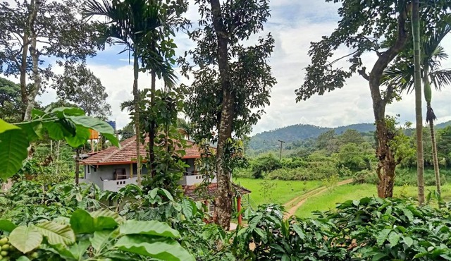 coorg homes estate stay