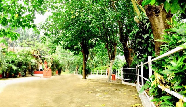 COORG HOTEL AND COTTAGE