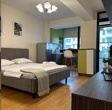 Copou Writers Nest Accommodation Hospitals Area in Iasi