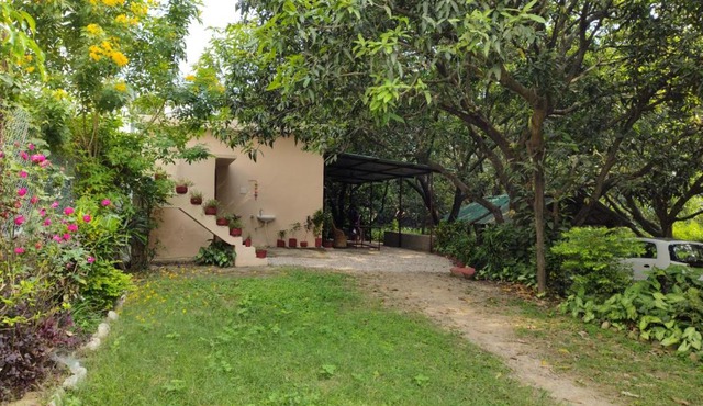 Corbett Green Orchard