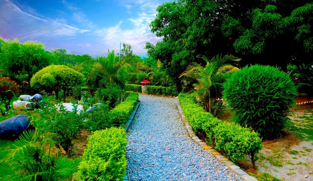 Corbett Wild Resort - A River Access Property