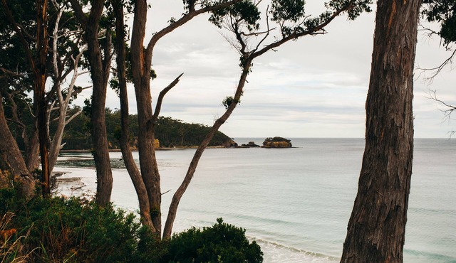 Cosy 3 bed cabin on the Tessellated Pavement in Eaglehawk Neck