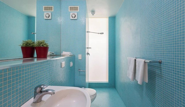 Cottesloe Tree Top Studio - Executive Escapes in Cottesloe