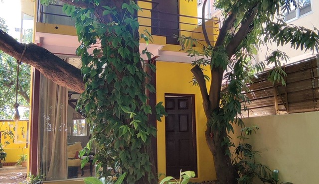 Cozy & homely bungalow surrounded by nature in the heart of the city.