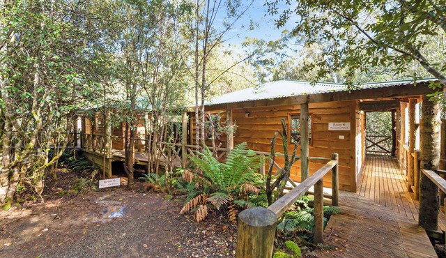 Cradle Forest Inn in Moina
