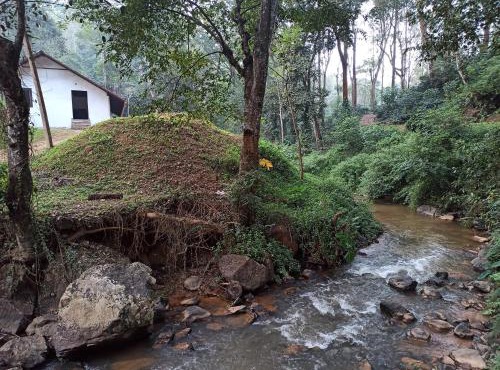 Creek Side