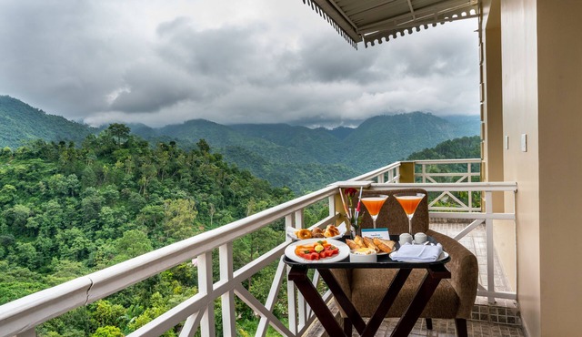 Cygnett Resort Mountain Breeze