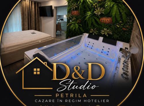 D&D Studio