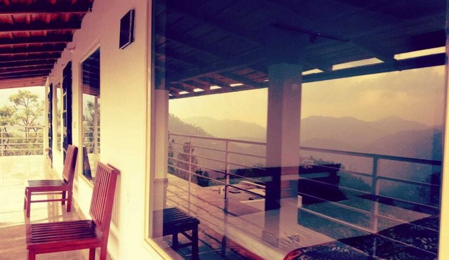 D Jungle Dabas Cottages