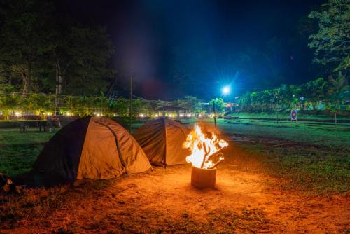 Dandeli Inn Resort in Dandeli
