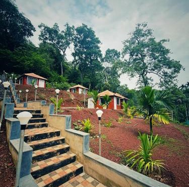 Dandeli Jungle Majestic