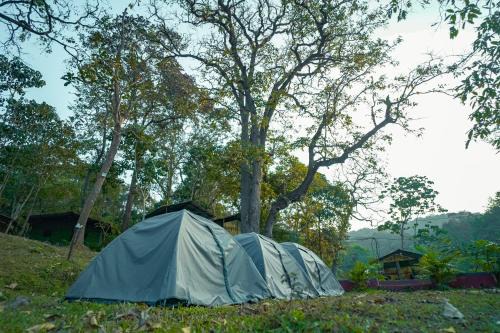 Dandeli River Valley Resort