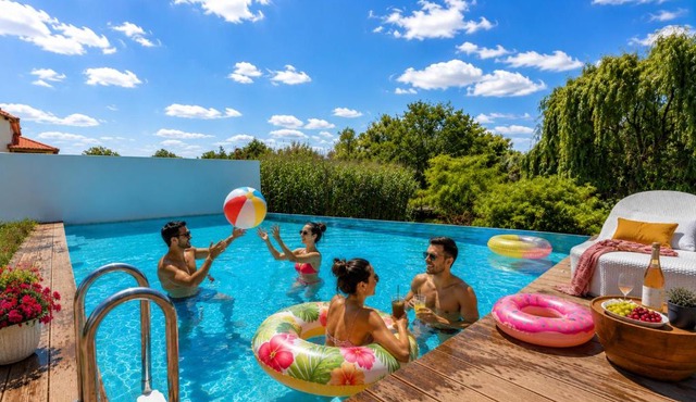 Danube Delta Villa with Pool, BBQ & Free Private Parking