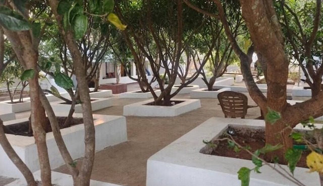 Deers Eco Home Resort