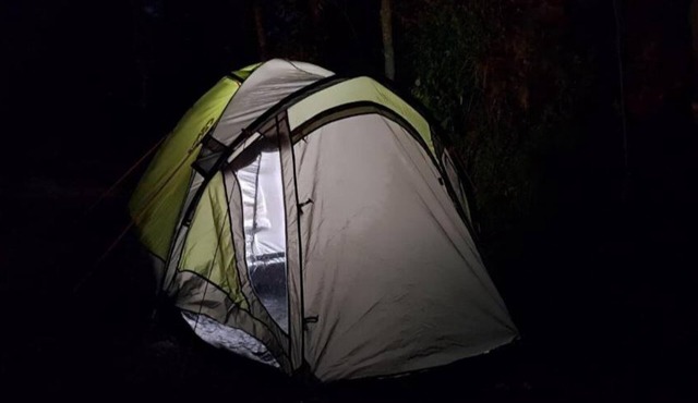Delicate camp B
