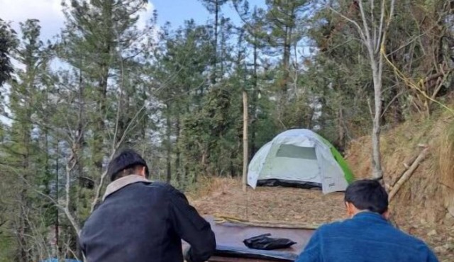 Delicate camp E