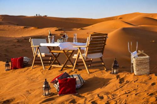 Desert cactus camp Jaisalmer