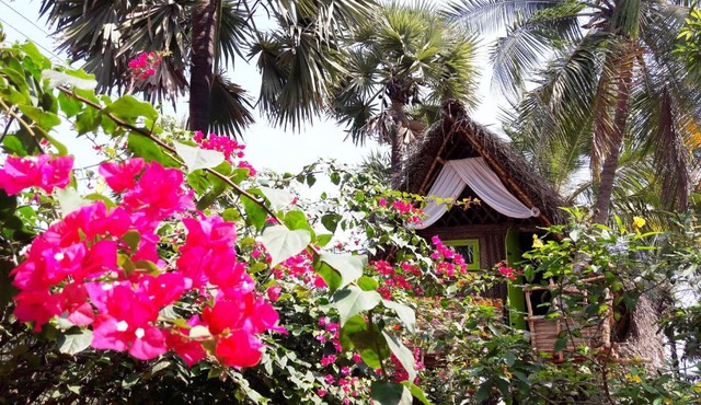 Dharmakanni Tropical Huts