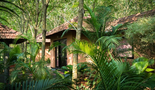 Dicover your retreat & be a new you !