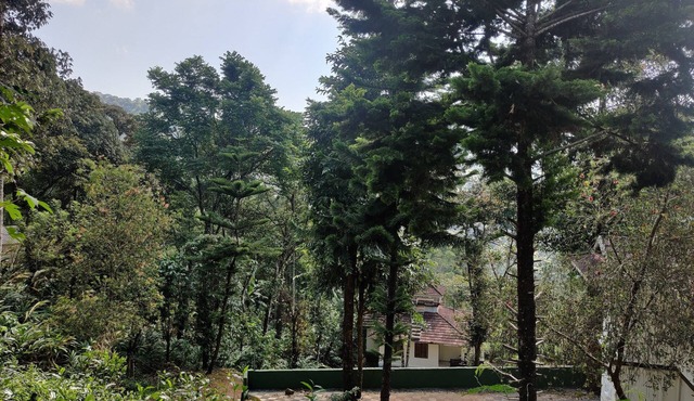 Disha plantation Resort