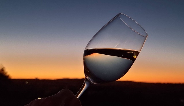 Dog Friendly Farm Stay - Excellent views and close to many wineries in Botobolar