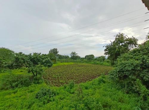 DR BHOIR FARM & RESORT