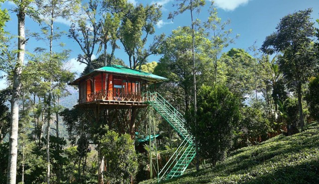 Dream Catcher Plantation Resort