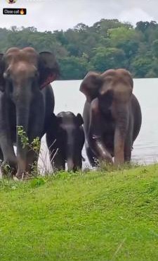 Dreams home estate stay coorg B