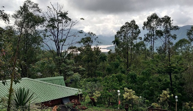 Eagle's Nest - A Nature Retreat