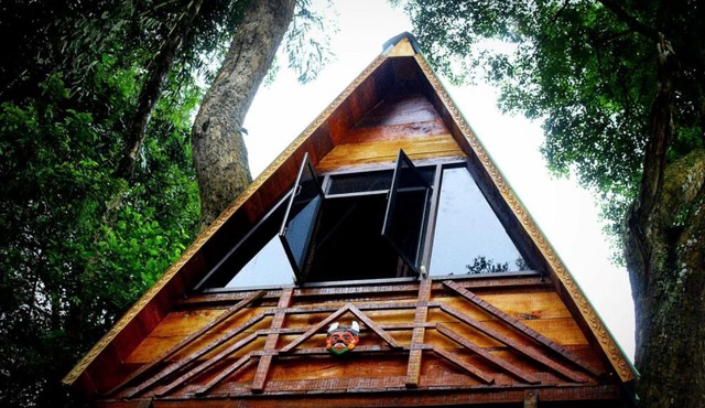 Econest treehouse