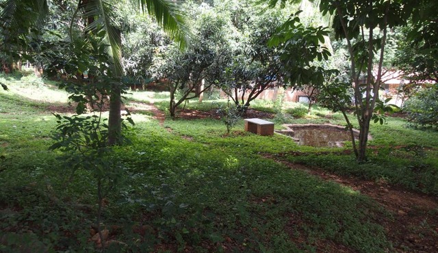 Elephant Country Homestay