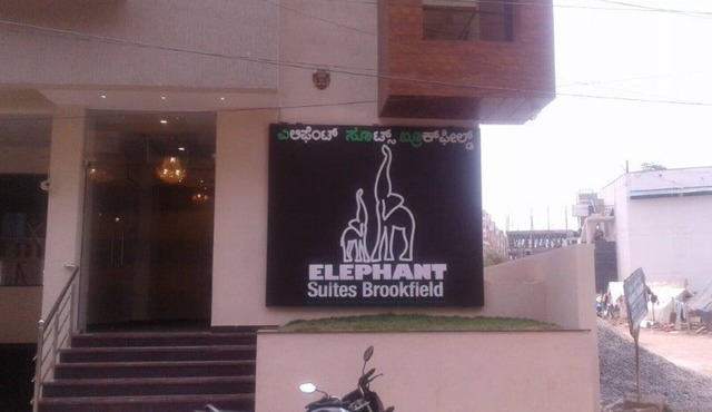 Elephant Suites Brookefield # 6