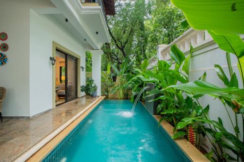 ELIVAAS 4 BHK with Pvt pool - Amado Villa Shai