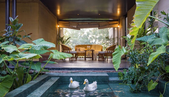 ELIVAAS Hari Bagh 4 BHK Villa