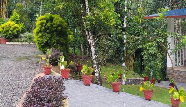 Enchanting 4-bedroom farm house in Thekkady,Kumily,Kerala Idukki. A spiceFarm