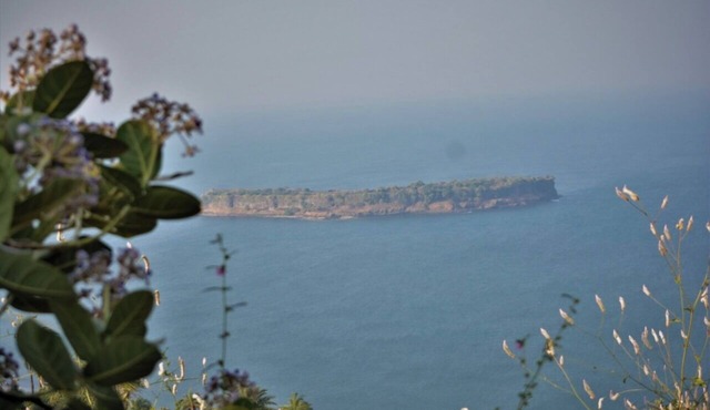 Escape to SeaDeck: Your Perfect Coastal Getaway in Dapoli!