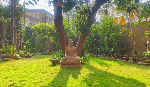 Escape to this charming apartment with a touch of nature in centre of town.