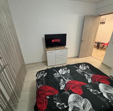 Est home craiova
