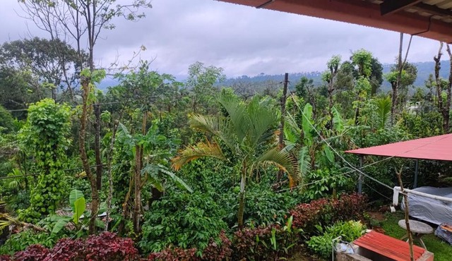 Estateview Villa Homestay