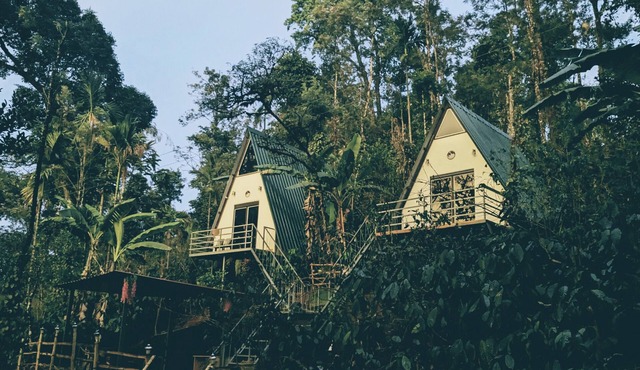Experience Serenity at Coorgology estate stay in Lush Coffee Plantations