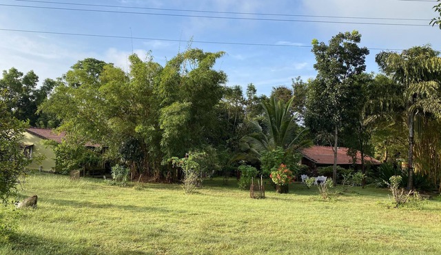 Family managed charming Lodge near Mysore , India