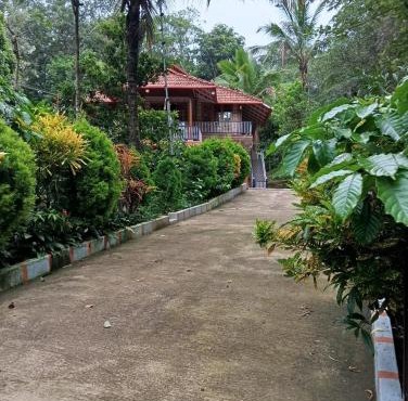 Family Nest Homestay