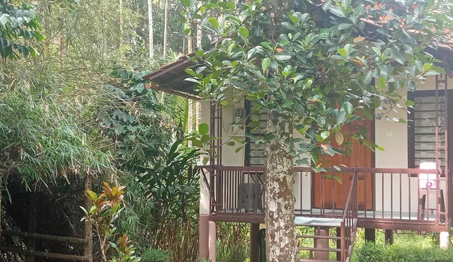 Family Villa is a hut Style Accommodation