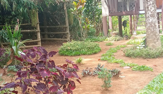 Family villa is a hut style accommodation