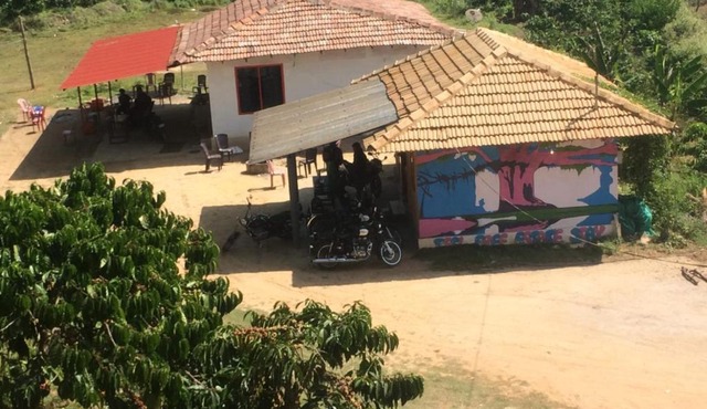 Feel Free estate stay