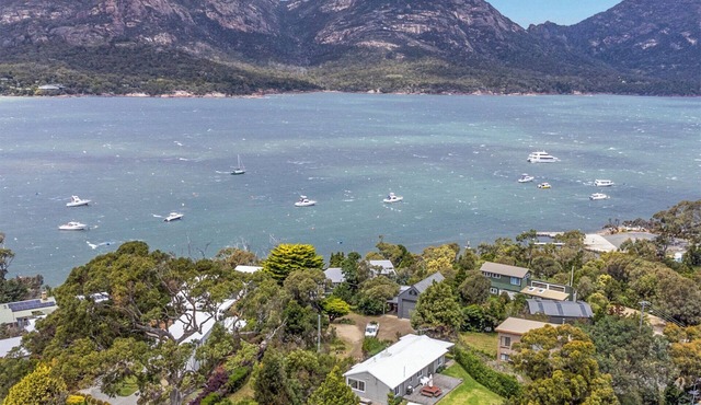 Fish at Freycinet - Freycinet Holiday Houses in Coles Bay