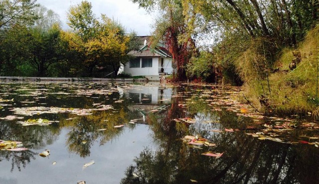 Fisherman's Cottage