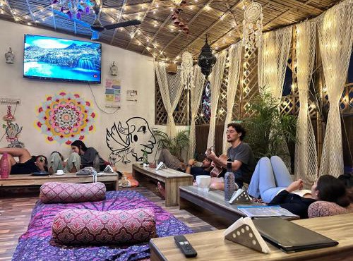 Flamingos Hostel Jaipur