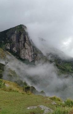 Fogveilhomestay