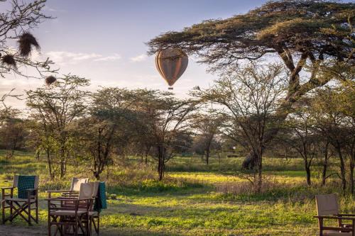 Gnu Ndutu Camp in Sinoni
